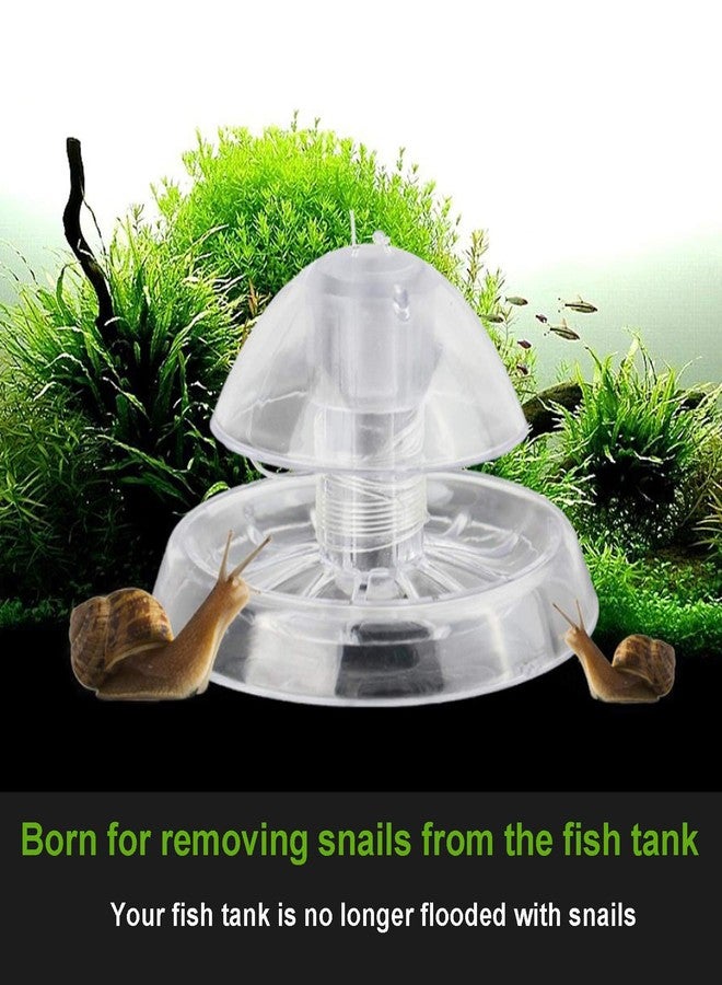 Besimple 3Pcs Transparent Snail Trap, Plastic Aquarium Snail Catcher with Fishing Line for Aquarium Fish Tank - Image 3